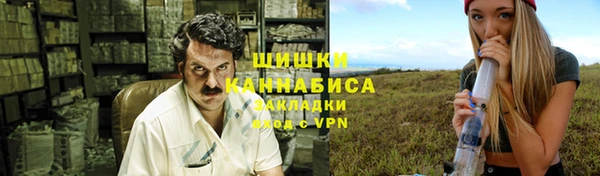 прущие крисы Горняк