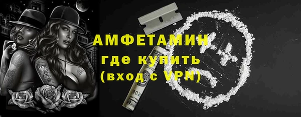 гидра Беслан