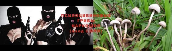 прущие крисы Горняк