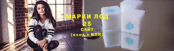гашик Бикин