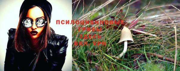 МДПВ Вязники