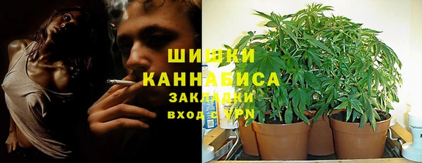 бутират Горнозаводск