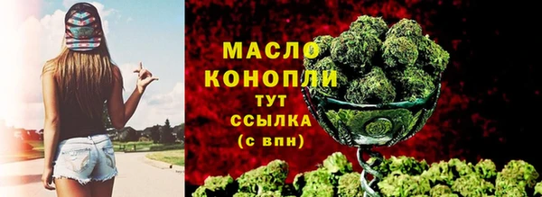 прущие крисы Горняк