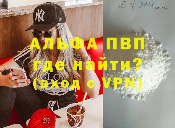 гашик Бикин